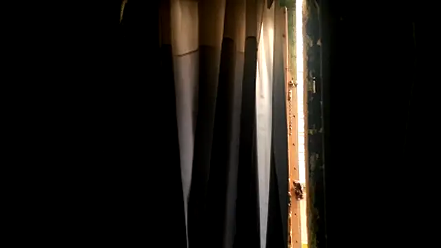 Haztogo4me online show from 04/18/26, 07:58