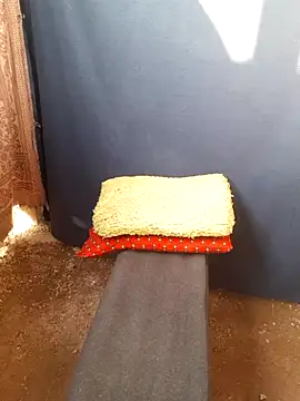 Burhade-- online show from 10/12/25, 11:33