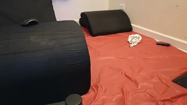 Snapshot of pantslesstraveler_plt chatting on 02/03/25, 01:52 pantslesstraveler plt online show from 02/03/25, 01:52