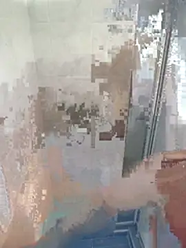 justwatchbaby online show from 01/18/26, 08:45