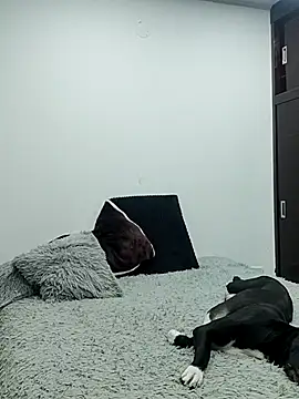 Mariam Gomezxxx online show from 02/13/26, 12:32