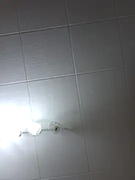 Javier bear online show from 07/10/26, 08:20