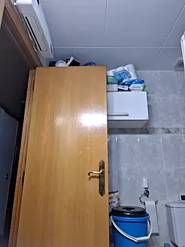 Javier bear online show from 11/14/25, 02:10