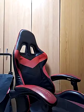 Javier bear online show from 11/15/25, 10:47