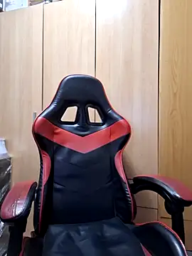 Javier bear online show from 11/13/25, 10:41