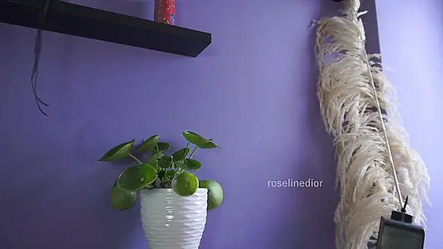 roselinedior online show from 05/20/26, 04:26