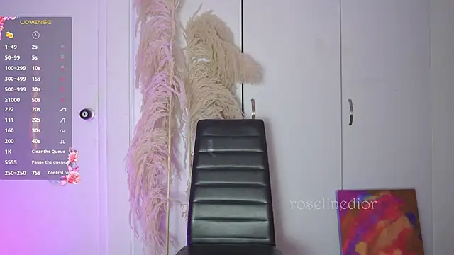 roselinedior online show from 11/12/25, 11:52