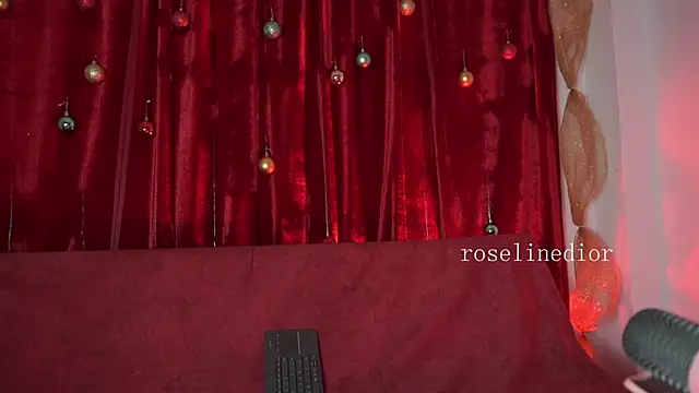 roselinedior online show from 12/17/25, 08:14