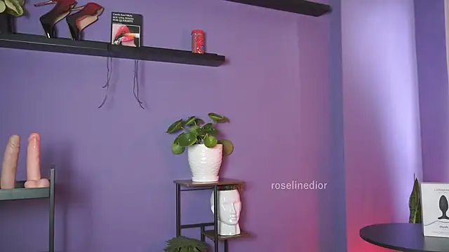 roselinedior online show from 05/19/26, 02:46