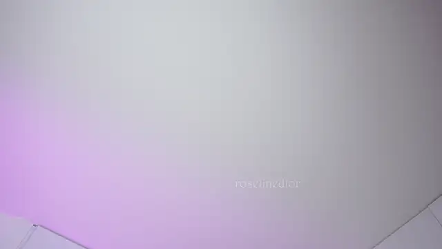 roselinedior online show from 10/08/25, 03:46