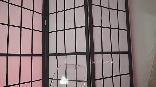 roselinedior online show from 04/05/26, 04:02
