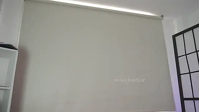 roselinedior online show from 04/22/26, 02:35