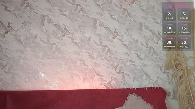 roselinedior online show from 11/20/25, 02:18