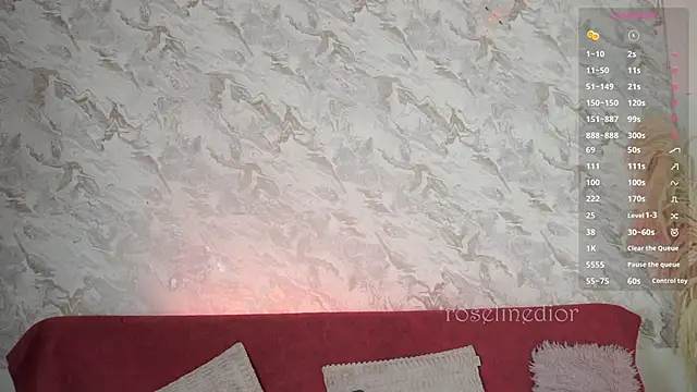 roselinedior online show from 11/19/25, 01:55