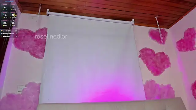 roselinedior online show from 02/25/25, 08:21