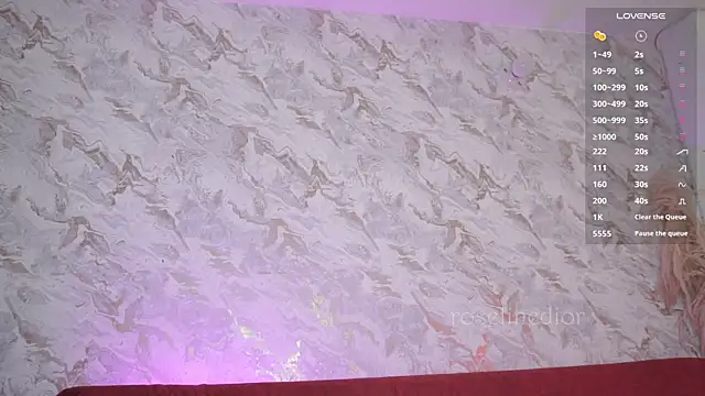 roselinedior online show from 11/29/25, 02:06