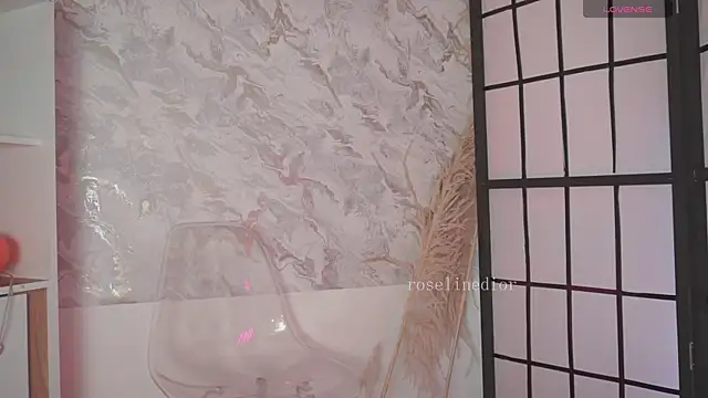roselinedior online show from 04/02/26, 02:24