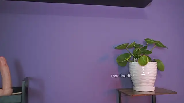 roselinedior online show from 05/26/26, 01:31