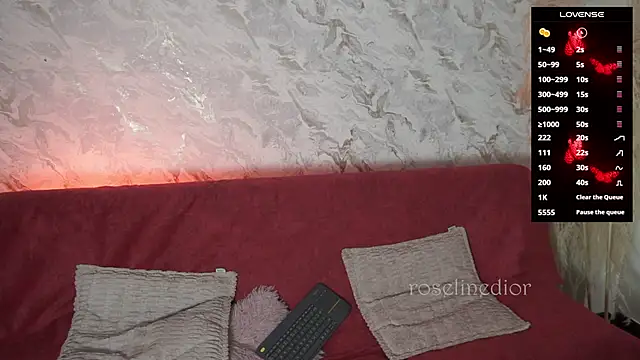 roselinedior online show from 11/26/25, 01:33