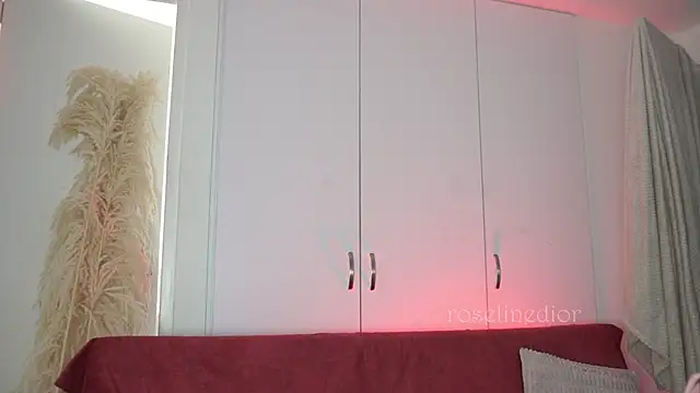 roselinedior online show from 11/09/25, 03:49