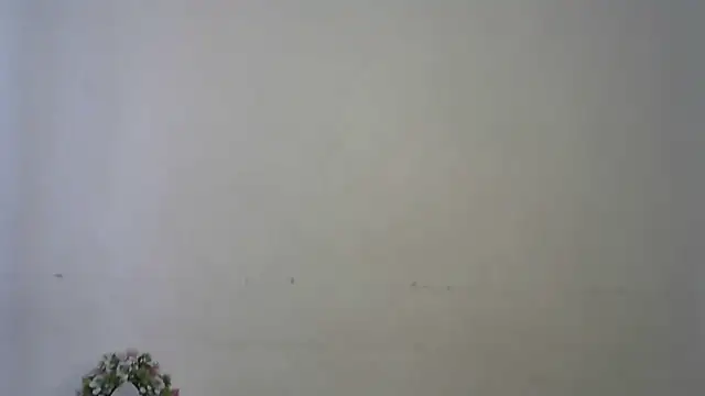 seema raani online show from 04/16/26, 04:46