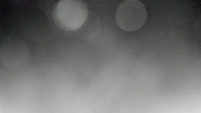 Snapshot of Bitch_Coin chatting on 11/10/25, 04:23 Bitch Coin online show from 11/10/25, 04:23