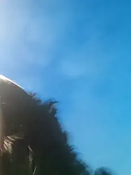 Wanda and cosmo  online show from 03/03/25, 11:35