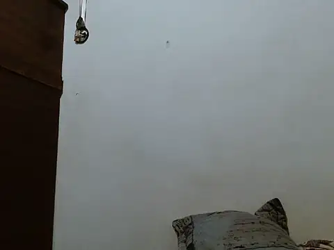 mademonsexy online show from 11/07/25, 02:27