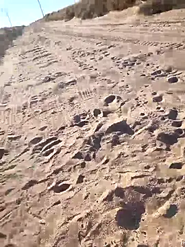 Snapshot of prettyboi6992 chatting on 03/01/26, 11:49 prettyboi6992 online show from 03/01/26, 11:49