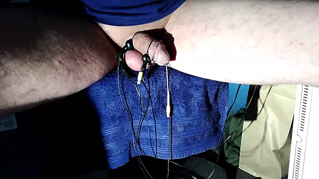 Camaroshelby online show from 11/15/25, 09:35