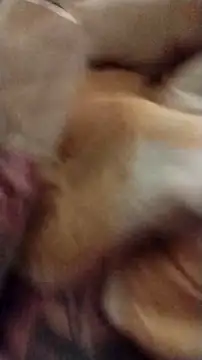 fukurbutt online show from 12/01/25, 11:22