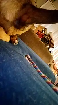 Snapshot of fukurbutt chatting on 02/19/26, 03:42 fukurbutt online show from 02/19/26, 03:42