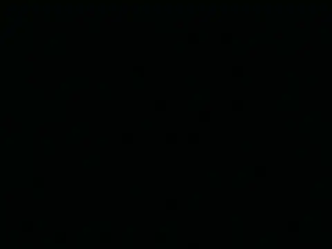 Tigerhill2023 online show from 04/26/26, 01:47