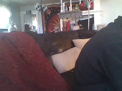 LongDickLance online show from 01/08/26, 02:34