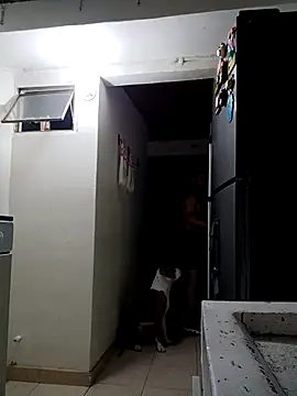 sebasxx97 online show from 02/13/26, 02:33