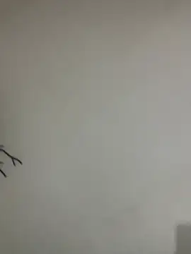 Snapshot of Veropig chatting on 03/13/26, 03:17 Veropig online show from 03/13/26, 03:17