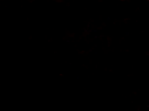 BIGPINKBYRD online show from 10/29/25, 01:04