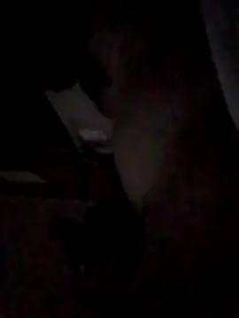 BIGPINKBYRD online show from 04/22/26, 03:46