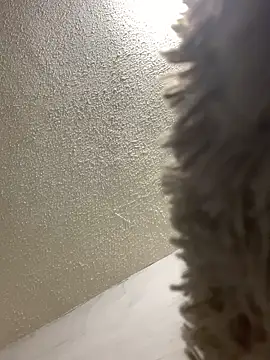 talitasilvx online show from 03/18/25, 11:09