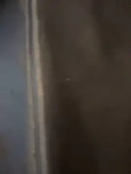 haddy ss online show from 11/15/25, 08:02