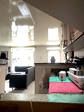 Snapshot of alina_stark chatting on 01/11/26, 06:37 alina stark online show from 01/11/26, 06:37