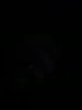 sylviahhh online show from 04/03/26, 01:56