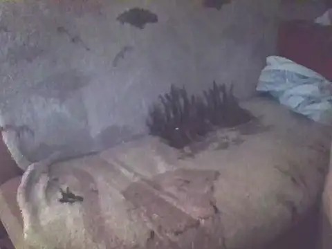 Bigheadxxx1 online show from 12/19/25, 06:49