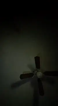 LongDickZee562 online show from 12/06/24, 10:32