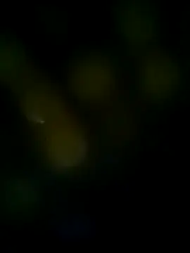 LongDickZee562 online show from 03/08/25, 10:11