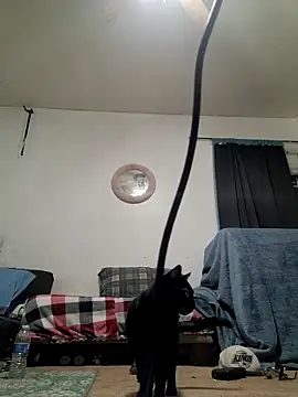 LongDickZee562 online show from 12/19/25, 09:11