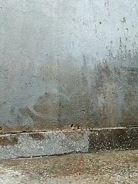 Sergipano fogozinho online show from 02/03/26, 12:43