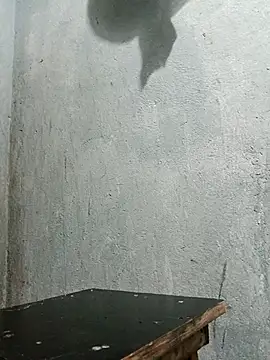 Sergipano fogozinho online show from 12/05/25, 01:49