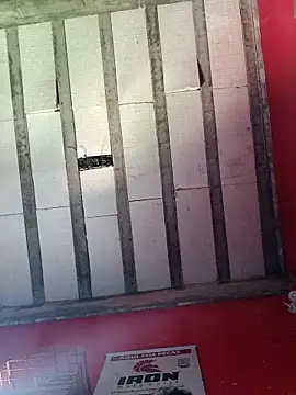 Sergipano fogozinho online show from 11/14/25, 04:32