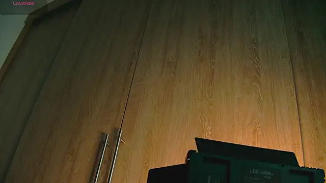 Snapshot of aidaadams chatting on 10/25/25, 08:24 aidaadams online show from 10/25/25, 08:24